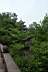 pagoda cs�csa a f�k k�z�tt