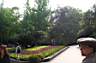 Eiling park - sz�nes vir�g�gy�s